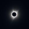 Corona_1_crop