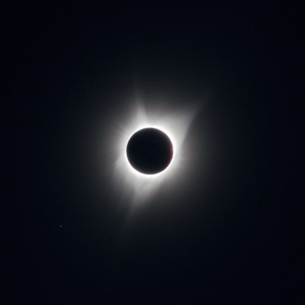 Corona_1_crop