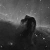 HorseHead_Mono_Calendar