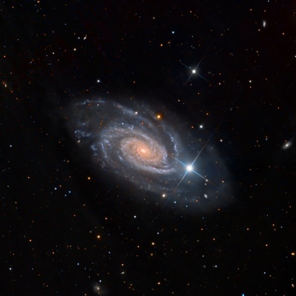 NGC3338_LRGB_Web