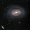 NGC4725_LRGB_Web