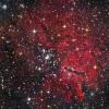 NGC6823_LRGB_1_Cropped