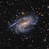 NGC925_LRGB_Final