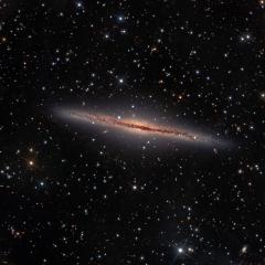 NGC891_LRGB_Web